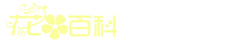神算子_神算子APP下载_神算子分析软件_神算子百家乐分析软件_神算子软件